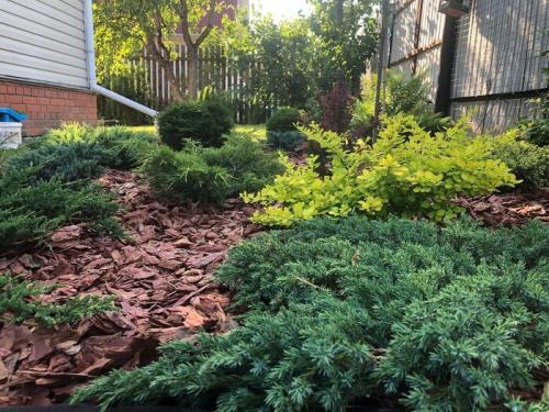 Какие материалы можно использовать для создания бюджетной клумбы. Как сделать клумбу, которую не надо пропалывать. Вот, что у нас получилось в итоге