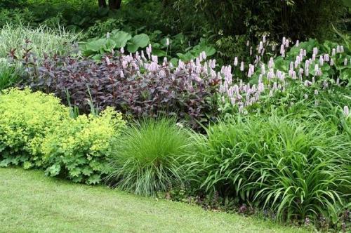 Что такое клумбы. Клумбы и цветники - в чем разница