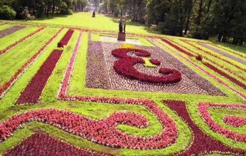 Что такое клумбы. Клумбы и цветники - в чем разница