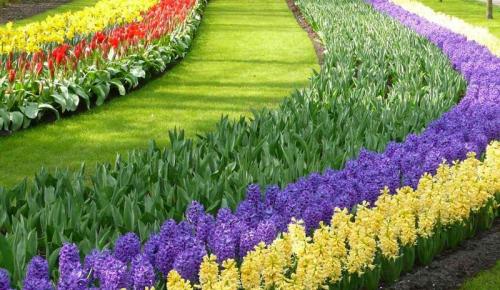 20 живых примеров клумб перед домом: как сделать свое подворье уютным и красивым 01