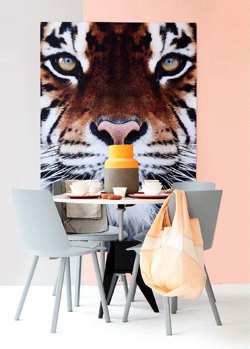 Розово-персиковый цвет. Персиковый цвет (52 фото): яркие фруктовые всплески в интерьере