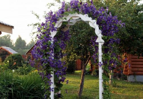 Что можно использовать в качестве подручных материалов для создания клумбы. Как сделать вертикальную клумбу