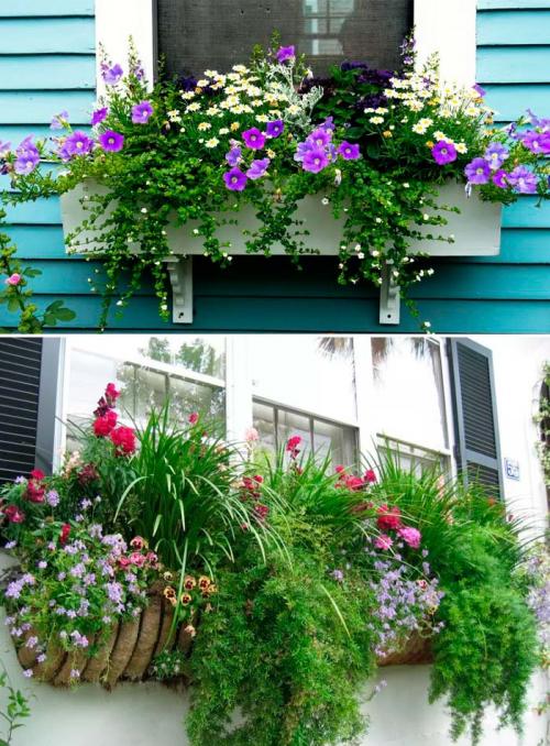 Как украсить подоконник с улицы. Цветы за окном: как украсить дом снаружи