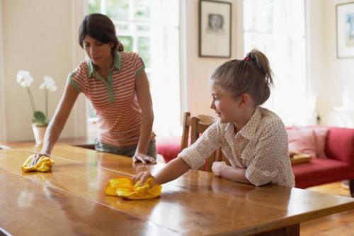 Чем отличается полированная мебель от лакированной. Уход за полированной мебелью с помощью чистящих средств