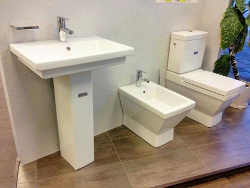 Раздельный санузел это. Что такое санузел