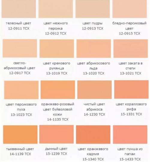 Персиковый цвет в интерьере кухни. Особенности и преимущества персикового цвета для оформления кухни