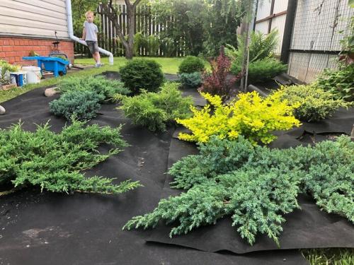 Что можно использовать для создания клумбы, Если нет специальных материалов. Как сделать клумбу, которую не надо пропалывать. Вот, что у нас получилось в итоге