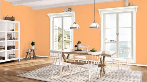 С чем сочетается персиковый цвет в интерьере. Персиковый цвет в интерьере: тепло и уют в доме