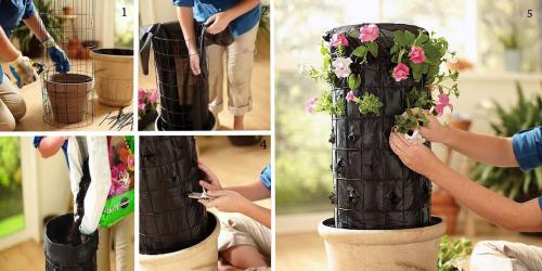 Цветники и красивые клумбы на даче своими руками. Цветники и клумбы на даче (фото)