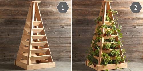 Цветники и красивые клумбы на даче своими руками. Цветники и клумбы на даче (фото)