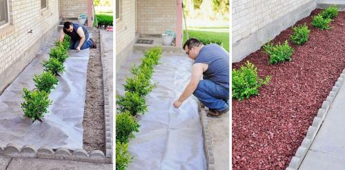 Цветники и красивые клумбы на даче своими руками. Цветники и клумбы на даче (фото)