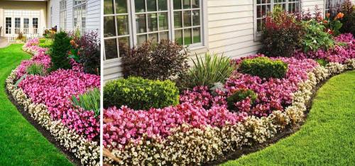 Цветники и красивые клумбы на даче своими руками. Цветники и клумбы на даче (фото)
