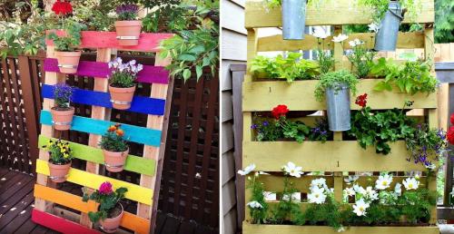 Цветники и красивые клумбы на даче своими руками. Цветники и клумбы на даче (фото)