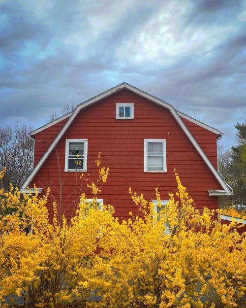 Многолетники для красивой клумбы. Подбор растений 01