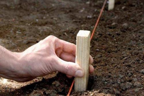 Как сделать красивую клумбу. Особенности создания красивых клумб на участке