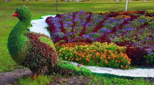Красивые цветники. Красивые клумбы — варианты оформления, правила организации, выбор места, советы новичкам + 99 фото