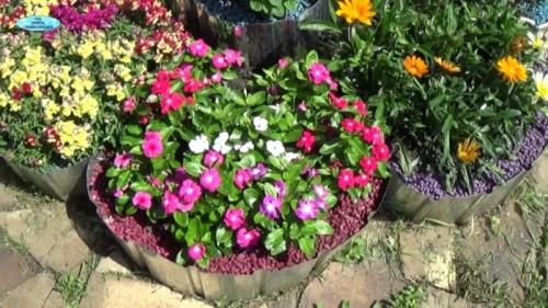 Клумба и цветник своими руками для начинающих: идеи, их реализация