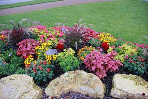 Схемы посадки цветов на клумбе для начинающих разбор примеров. Принципы формирования цветника
