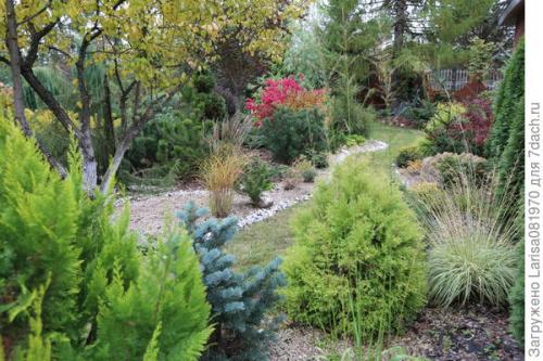 Какие проблемы могут возникнуть при использовании гальки на участке. Простой способ мульчирования без снятия дёрна и создание сада лёгкого ухода