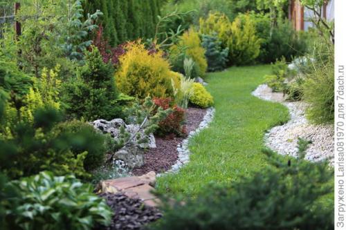 Какие проблемы могут возникнуть при использовании гальки на участке. Простой способ мульчирования без снятия дёрна и создание сада лёгкого ухода