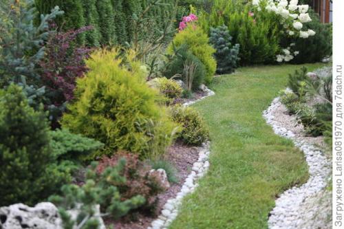 Какие проблемы могут возникнуть при использовании гальки на участке. Простой способ мульчирования без снятия дёрна и создание сада лёгкого ухода