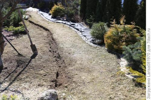 Какие проблемы могут возникнуть при использовании гальки на участке. Простой способ мульчирования без снятия дёрна и создание сада лёгкого ухода