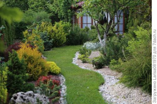 Какие проблемы могут возникнуть при использовании гальки на участке. Простой способ мульчирования без снятия дёрна и создание сада лёгкого ухода