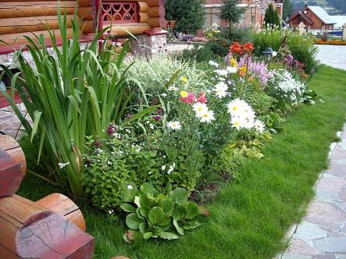 Цветник своими руками для начинающих. Цветник на даче своими руками для начинающих: фото и практические советы