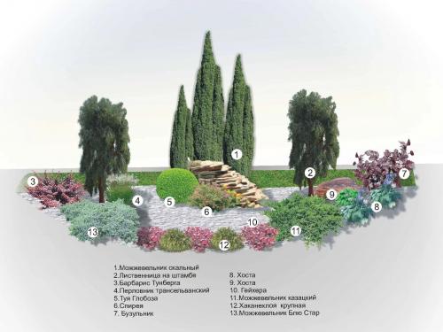 Хвойные клумбы с камнями. Как выбирать хвойные растения для клумб