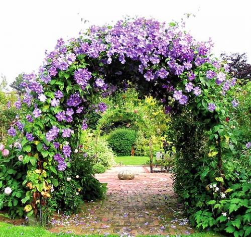 Как установить садовую деревянную арку. Виды садовых арок