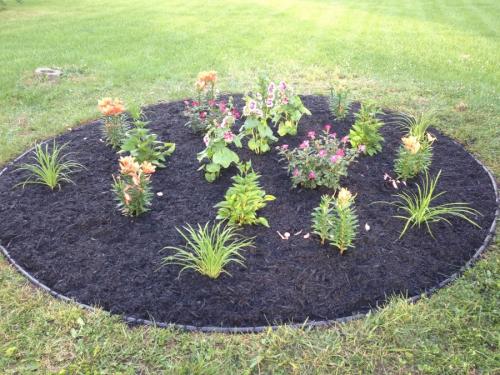 Клумбы во дворе своими руками. Клумба своими руками — роскошные идеи дизайнеров и советы по дизайну и оформлению (105 фото)