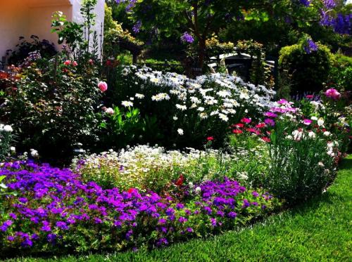 Клумбы во дворе своими руками. Клумба своими руками — роскошные идеи дизайнеров и советы по дизайну и оформлению (105 фото)