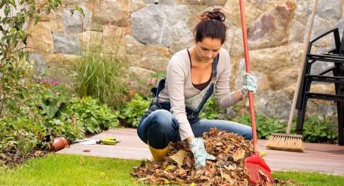 Как можно сохранить сад на миллион за копейки в хорошем состоянии. 5 советов, как сохранить свой сад и огород в отличном состоянии