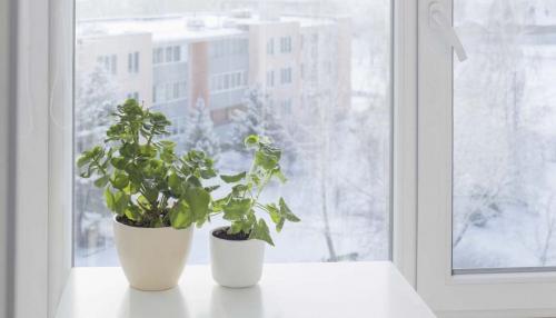 Зимние ремонтные работы: можно ли менять окна зимой 02