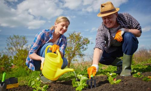 Что такое сад на миллион за копейки