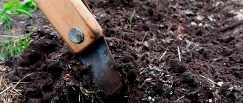 Что такое сад на миллион за копейки