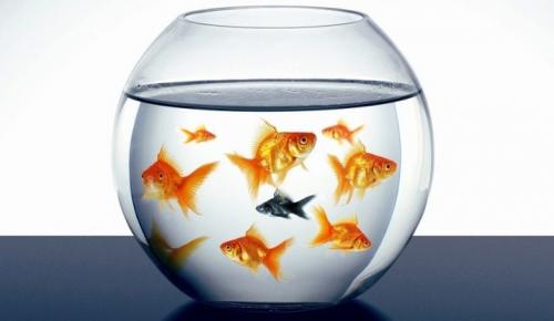 Как привлечь удачу деньги благополучие. Способы привлечения удачи и денег в свою жизнь 01