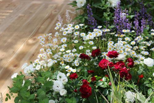 Какие цвета и комбинации цветов лучше использовать в клумбе. Всё по кругу: как правильно сочетать цвета в миксбордере