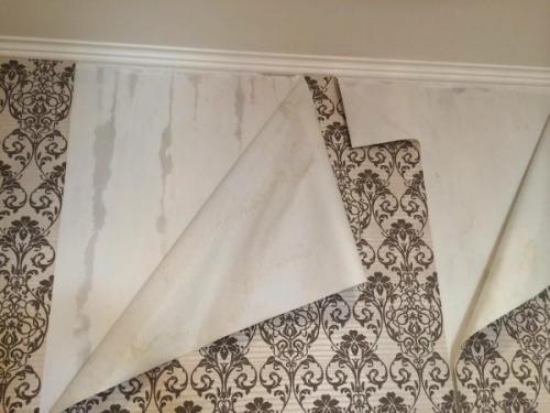 Можно ли штукатурить по невысохшей штукатурке. Чем грозит отделка стен с непросохшей штукатуркой