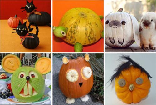 Поделки из тыквы своими руками в детский сад и для школы