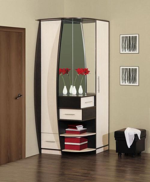 Шкаф-купе в прихожую с зеркалом. Виды