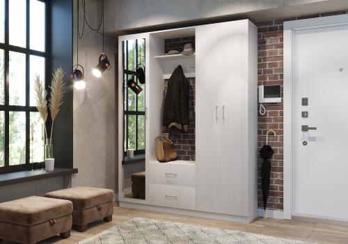 Какой шкаф выбрать в прихожую. Дизайн шкафа в прихожую в современном стиле: +40 фото примеров, идеи и советы