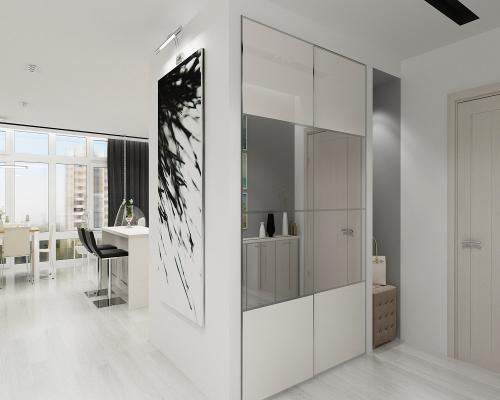 Какой шкаф выбрать в прихожую. Дизайн шкафа в прихожую в современном стиле: +40 фото примеров, идеи и советы