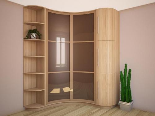 Узкий шкаф с зеркалом в прихожую. Виды зеркальных шкафов