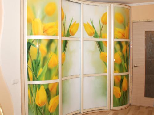 Узкий шкаф с зеркалом в прихожую. Виды зеркальных шкафов