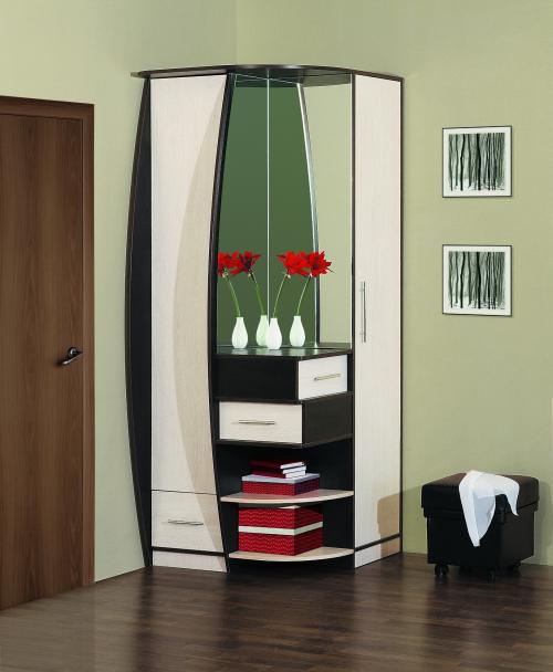 Угловой шкаф в прихожую с зеркалом. Прихожая с угловым шкафом