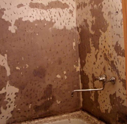 Сколько сохнет цементная штукатурка перед укладкой плитки. На какую штукатурку можно класть плитку?