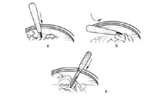 Как выбрать подходящий вид фанеры для прорезной резьбы лобзиком