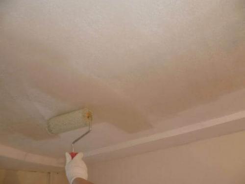 Нужно ли грунтовать потолок перед финишной шпаклевкой. Как грунтовать потолок перед шпаклевкой