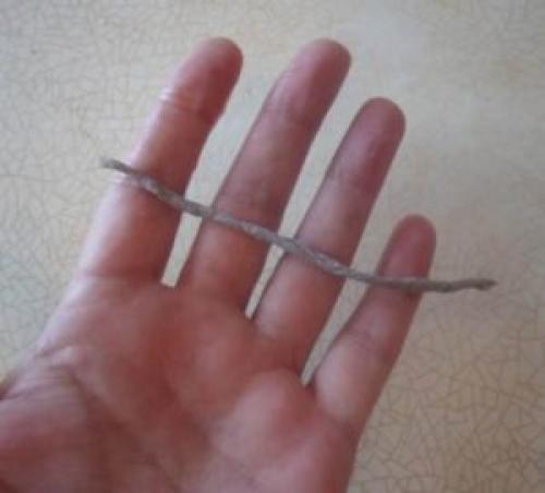 Вазы из 5 литровых пластиковых бутылок. Ваза из пластиковой бутылки и шпагата